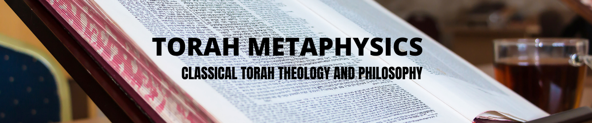 Torahmetaphysics-grav-12x25-1b